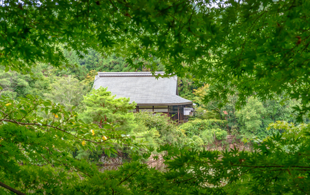 Scenery of the lotus pond and templeの写真素材