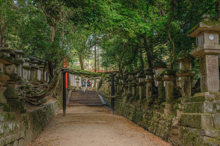 Scenery of the World heritage Kasuga Taisha Shrineの写真素材