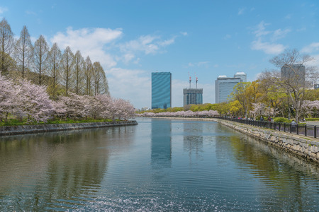 Spring scenery of Osaka Castleの写真素材