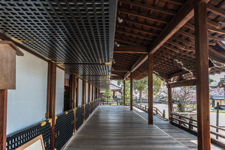 Scenery of the Daikakuji temple in Kyotoのeditorial素材