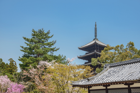 Scenery of the Ninna-ji temple in Kyotoのeditorial素材