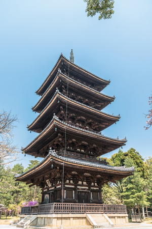 Scenery of the Ninna-ji temple in Kyotoのeditorial素材