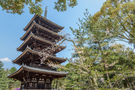 Scenery of the Ninna-ji temple in Kyotoのeditorial素材