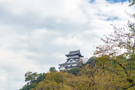 Autumn scenery of the Inuyama-jo castleのeditorial素材