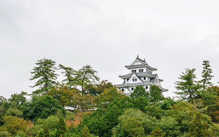 Scenery of the Gujo hachiman castle in Gifu, Japanのeditorial素材