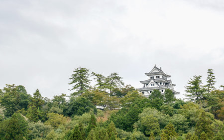 Scenery of the Gujo hachiman castle in Gifu, Japanのeditorial素材