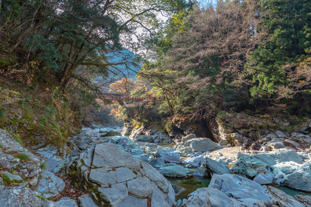 Iyagawa river and Kazura bashi bridge in Tokushima, Japanの写真素材