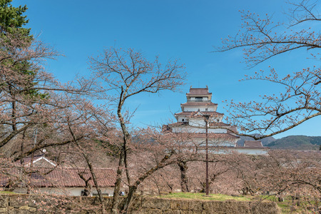 Spring scenery of the Aizu Wakamatsu castleのeditorial素材