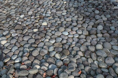 Garden cobble stone background imageの写真素材