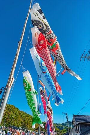 Carp streamers in the spring windの写真素材