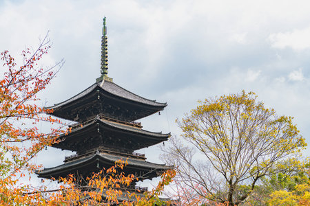 Autumn scenery of the To-ji temple in Kyotoのeditorial素材