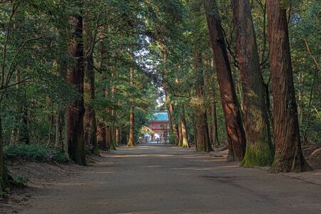 Approach to shrine of the Kashima jingu Shrine in Kashima, Ibaraki, Japanのeditorial素材