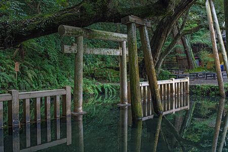 The Mitarai Pond of the Kashima Jingu Shrine in Kashima, Ibaraki, Japanのeditorial素材