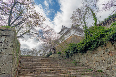Scenery of Tsuyama castle in Tsuyama city, Japan