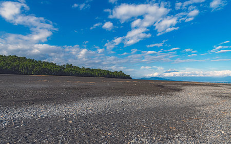 Landscape of Mount Fuji from the pinery of Miho in Shizuoka, Japan