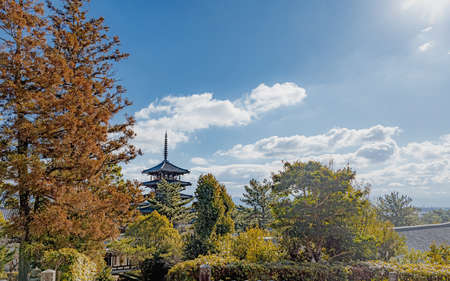Scenery of the Horyuji temple in Nara, Japanのeditorial素材