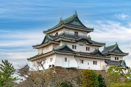 Castle tower of the Wakayama castle in Wakayama city, Japan