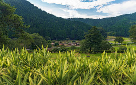 Scenery of the Ichijodani Asakura Family Historic Ruinsのeditorial素材