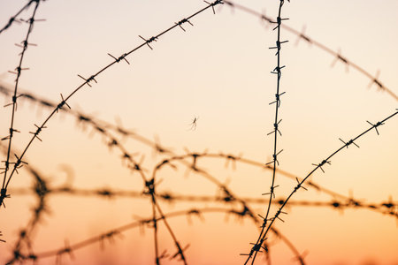 Barbed wire at sunset background. Selective focus. Shallow depth of field.の写真素材
