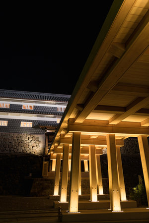 Night view of the entrance to the Shinto shrine in Kyoto, Japan.の写真素材