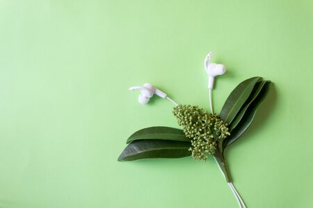 Wireless white headphones on a green background. Colorful spring concept. Creative ideaの写真素材