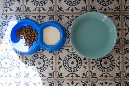 Plates with food and water for a pet top view in the sunshine