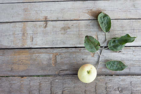 Apple on wooden background, autumn concept. Copy spaceの写真素材