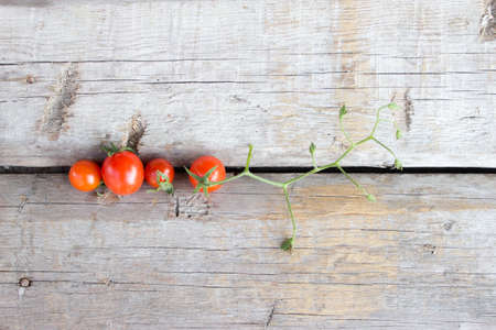 Cherry tomato, small tomatoes on wooden background.の写真素材