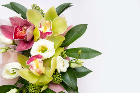 Orchid tropical flowers, romantic bouquet of orchids for copy spaceの写真素材
