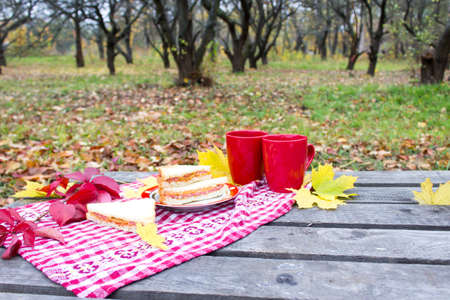 Autumn picnic, red cup and sandwiches on a wooden table. Autumn background conceptの写真素材