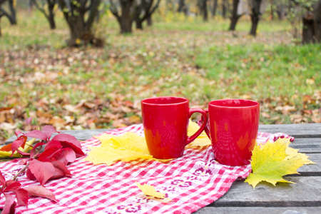 Trendy red cups with black tea and yellow leaves.の写真素材