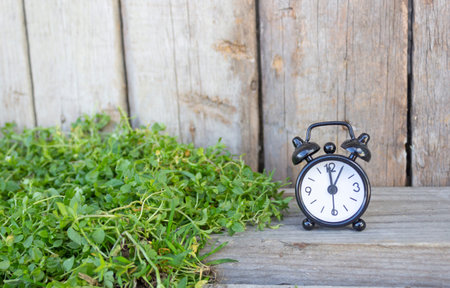 Black alarm clock in green grass, concept of time.