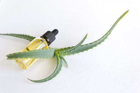 Bottle of dropper with aloe vera essential oil, professional skin careの写真素材