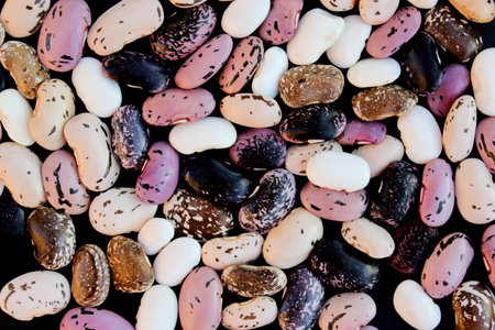 Beans background. Cereal healthy food conceptの写真素材