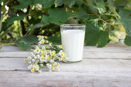 A glass of fresh milk, a bouquet of daisies on a wooden table, rustic styleの写真素材