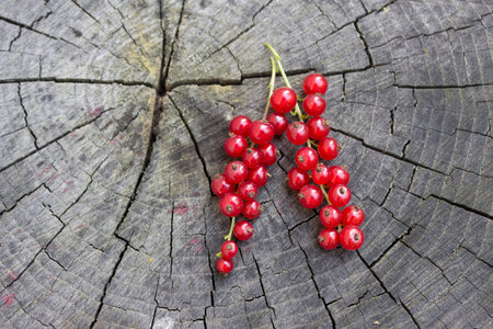 Currant berry, red currant on a wooden background. Space for text with currant berries