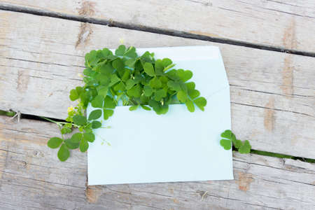 The concept of communication letters, envelope with clover, Postcardの写真素材