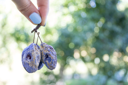 Ugly plum, concept is not ideal fruit ideas