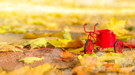 Autumn background. Red toy bike with yellow leaf on nature autumn background with copy spaceの写真素材