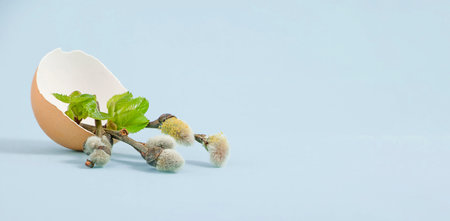 Close up brown eggshell and willow branches with green young leaves on blue background. Easter card...