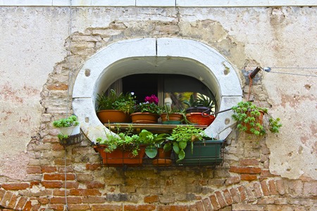 Flowerpots in Oval Windowの写真素材
