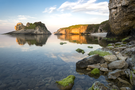 beautiful nature at sunsetの写真素材