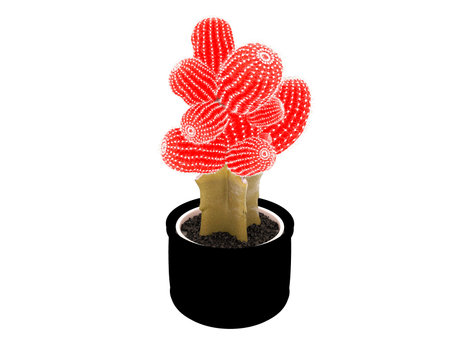 3d render of red cactus flowerの写真素材