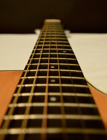 Guitar Fretboard