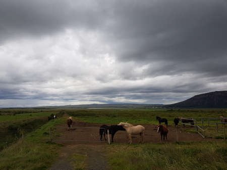 Beautiful Icelandic landscape photosの写真素材