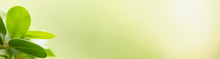 Closeup beautiful nature view of green leaf on blurred greenery background in garden with copy space...