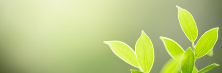 Closeup beautiful attractive nature view of green leaf on blurred greenery background in garden with...