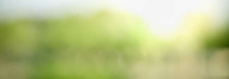 Abstract blurred out of focus and blurred green leaf background under sunlight with bokeh and copy space using as background natural plants landscape, ecology wallpaper and cover concept.の写真素材