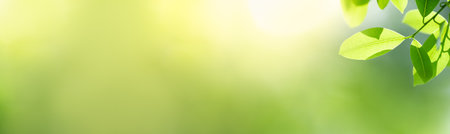 Closeup of green nature leaf on blurred greenery background in garden with bokeh and copy space using as background cover page concept.の写真素材