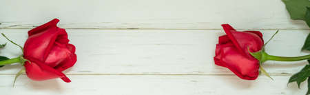 Closeup of two beauty red roses flower on wooden plank with copy space. Using as flora nature and love, Valentine's day cover page Conceptの写真素材